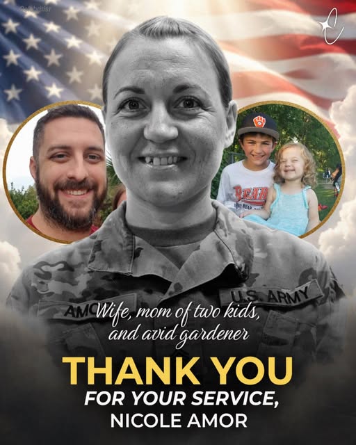 646510286 1249008150668647 1534750634240471161 n