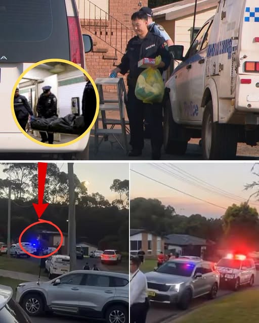 661449292 122223671768291483 4069139986788852171 n